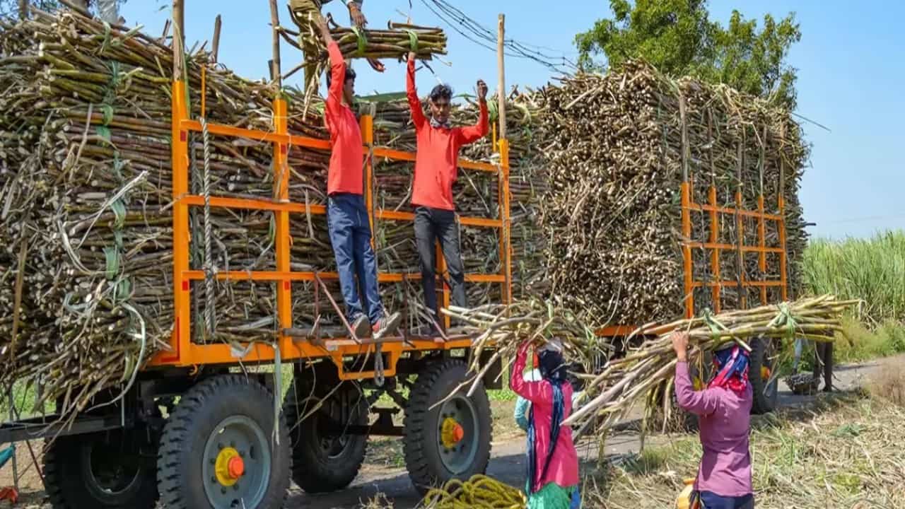 ಕೇಂದ್ರ ಸರ್ಕಾರ ಕಬ್ಬು ಖರೀದಿ ದರವನ್ನು ಕ್ವಿಂಟಲ್‌ಗೆ ₹340 ಆಗಿ ಹೆಚ್ಚಿಸುವ ಸಾಧ್ಯತೆ