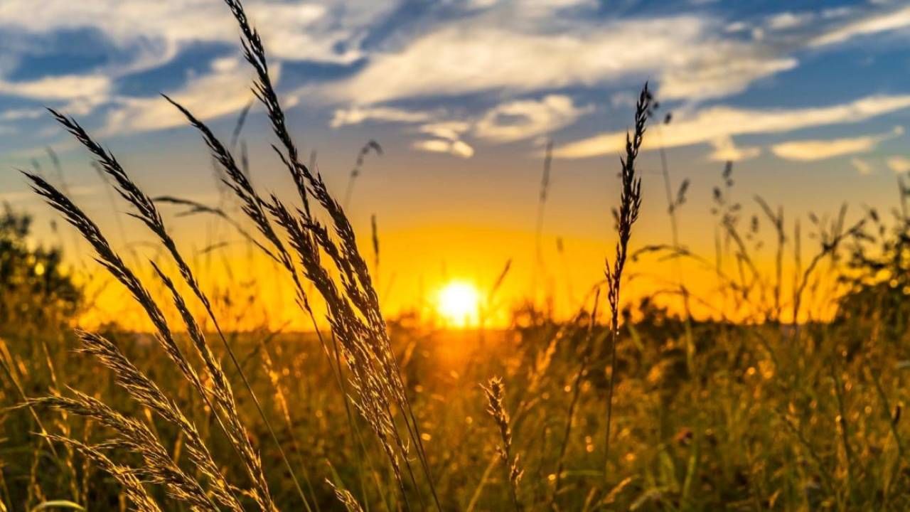 Karnataka Weather: ಕರ್ನಾಟಕದ ಕರಾವಳಿ, ದಕ್ಷಿಣ ಒಳನಾಡು, ಉತ್ತರ ಒಳನಾಡಿನಲ್ಲಿ ಬಿಸಿಲಿನ ತಾಪ ಹೆಚ್ಚಳ Karnataka Weather: ಕರ್ನಾಟಕದ ಕರಾವಳಿ, ದಕ್ಷಿಣ ಒಳನಾಡು, ಉತ್ತರ ಒಳನಾಡಿನಲ್ಲಿ ಬಿಸಿಲಿನ ತಾಪ ಹೆಚ್ಚಳ