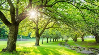 ಸ್ವಾತಂತ್ರ್ಯ ಪೂರ್ವದಲ್ಲಿ ಗುತ್ತಿಗೆ ಕೊಟ್ಟಿದ್ದ 7 ಸಾವಿರ ಎಕರೆ ಅರಣ್ಯ ಪ್ರದೇಶ ಮರು ವಶಕ್ಕೆ: ಈಶ್ವರ್​ ಖಂಡ್ರೆ