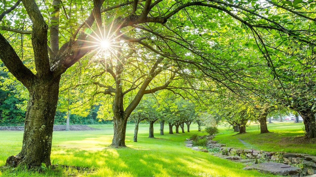 Karnataka Weather: ಮಂಡ್ಯದಲ್ಲಿ ಚಳಿ, ಕರ್ನಾಟಕದ ಬಹುತೇಕ ಕಡೆಗಳಲ್ಲಿ ಬಿಸಿಲ ಝಳ ಹೆಚ್ಚಳ Karnataka Weather: ಮಂಡ್ಯದಲ್ಲಿ ಚಳಿ, ಕರ್ನಾಟಕದ ಬಹುತೇಕ ಕಡೆಗಳಲ್ಲಿ ಬಿಸಿಲ ಝಳ ಹೆಚ್ಚಳ