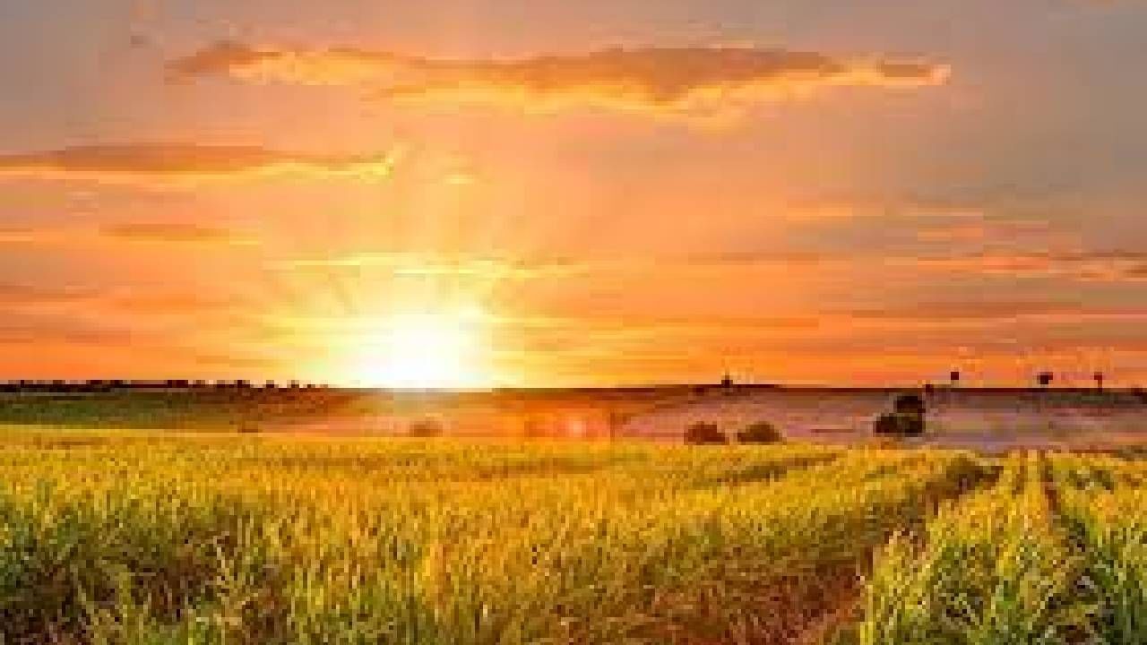 Karnataka Weather: ವಿಜಯಪುರದಲ್ಲಿ ಅತ್ಯಂತ ಕನಿಷ್ಠ ಉಷ್ಣಾಂಶ, ಕಲಬುರಗಿಯಲ್ಲಿ ಅತ್ಯಂತ ಗರಿಷ್ಠ ತಾಪಮಾನ ದಾಖಲು Karnataka Weather: ವಿಜಯಪುರದಲ್ಲಿ ಅತ್ಯಂತ ಕನಿಷ್ಠ ಉಷ್ಣಾಂಶ, ಕಲಬುರಗಿಯಲ್ಲಿ ಅತ್ಯಂತ ಗರಿಷ್ಠ ತಾಪಮಾನ ದಾಖಲು