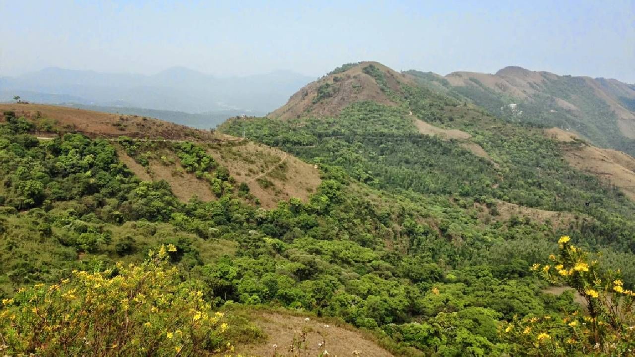 Karnataka Weather: ಬೆಂಗಳೂರಲ್ಲಿ ಮೋಡಕವಿದ ವಾತಾವರಣ, ರಾಜ್ಯದೆಲ್ಲೆಡೆ ಉಷ್ಣಾಂಶ ಹೆಚ್ಚಳ Karnataka Weather: ಬೆಂಗಳೂರಲ್ಲಿ ಮೋಡಕವಿದ ವಾತಾವರಣ, ರಾಜ್ಯದೆಲ್ಲೆಡೆ ಉಷ್ಣಾಂಶ ಹೆಚ್ಚಳ