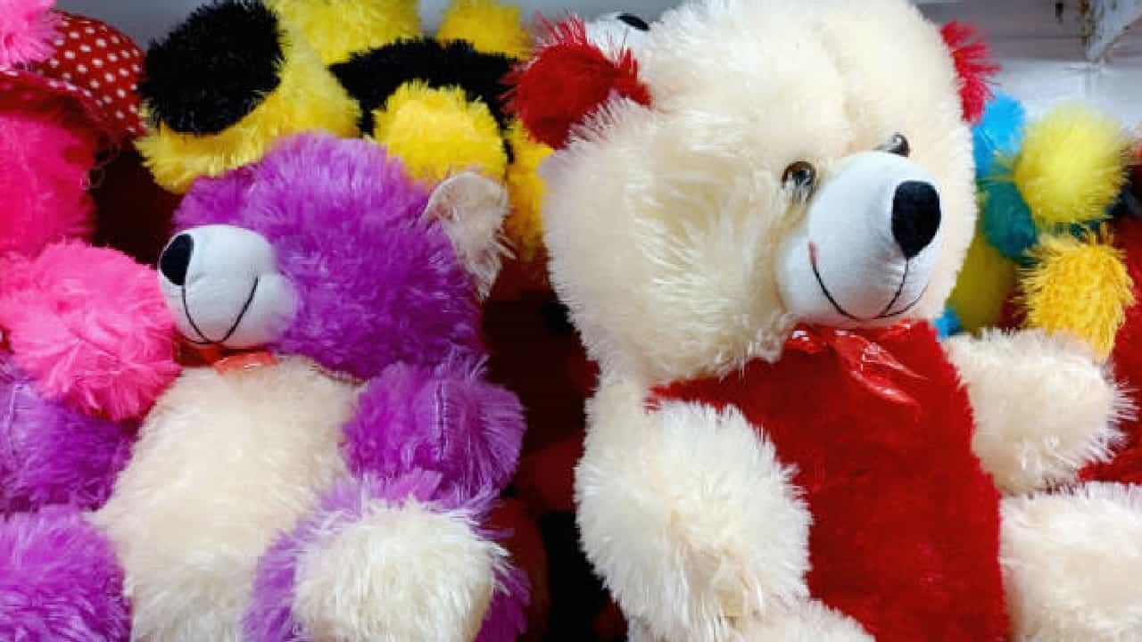 Teddy Day 2024: ನಿಮ್ಮ ಸಂಗಾತಿಗೆ ಟೆಡ್ಡಿ ಬೇರ್ ಕೊಡುವಾಗ ಈ ಬಗ್ಗೆಯೂ ತಿಳಿದಿರಲಿ Teddy Day 2024: ನಿಮ್ಮ ಸಂಗಾತಿಗೆ ಟೆಡ್ಡಿ ಬೇರ್ ಕೊಡುವಾಗ ಈ ಬಗ್ಗೆಯೂ ತಿಳಿದಿರಲಿ