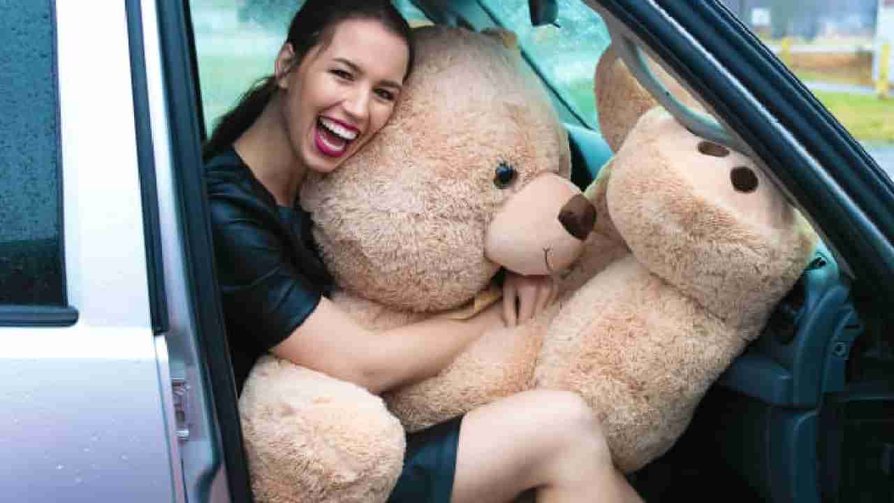 Teddy Day 2024 Date: ಟೆಡ್ಡಿ ಡೇ ಯಾವಾಗ?; ಇದರ ಇತಿಹಾಸ, ಮಹತ್ವವೇನು?