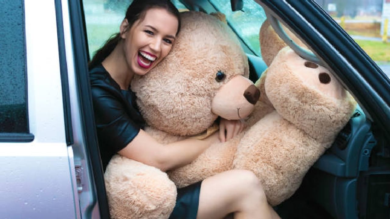 Teddy Day 2024 Date: ಟೆಡ್ಡಿ ಡೇ ಯಾವಾಗ?; ಇದರ ಇತಿಹಾಸ, ಮಹತ್ವವೇನು?