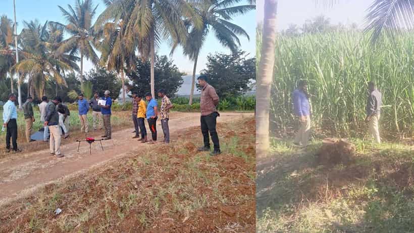 ಮೈಸೂರು ಜಿಲ್ಲೆಯಲ್ಲಿ ಹುಲಿ ಪ್ರತ್ಯಕ್ಷ: ಅರಣ್ಯ ಇಲಾಖೆ ಸಿಬ್ಬಂದಿಗಳಿಂದ ಕೂಂಬಿಂಗ್ ಕಾರ್ಯಾಚರಣೆ ಆರಂಭ