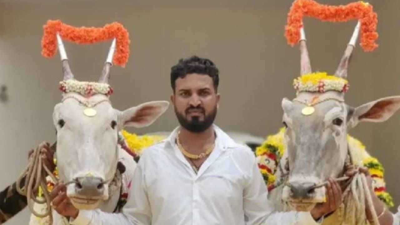 ಹಳ್ಳಿಕಾರ್ ಒಡೆಯ ಎಂದು ಕರೆಸಿಕೊಳ್ತಿರೋದು ಸರಿಯಲ್ಲ, ವರ್ತೂರ್ ಸಂತೋಷ್ ವಿರುದ್ಧ ಕಾನೂನು ಹೋರಾಟಕ್ಕೆ ಮುಂದಾದ ಹಳ್ಳಿಕಾರ್ ಸಂರಕ್ಷಕರು ಹಳ್ಳಿಕಾರ್ ಒಡೆಯ ಎಂದು ಕರೆಸಿಕೊಳ್ತಿರೋದು ಸರಿಯಲ್ಲ, ವರ್ತೂರ್ ಸಂತೋಷ್ ವಿರುದ್ಧ ಕಾನೂನು ಹೋರಾಟಕ್ಕೆ ಮುಂದಾದ ಹಳ್ಳಿಕಾರ್ ಸಂರಕ್ಷಕರು