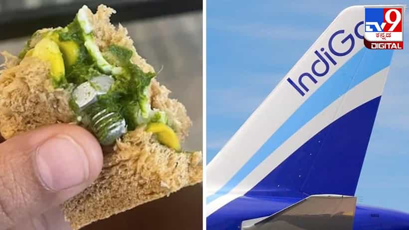 Viral Post: ಇಂಡಿಗೋ ಪ್ರಯಾಣಿಕರೊಬ್ಬರ ಸ್ಯಾಂಡ್ವಿಚ್ನಲ್ಲಿ ಸ್ಕ್ರೂ ಪತ್ತೆ; ಫೋಟೋ ವೈರಲ್