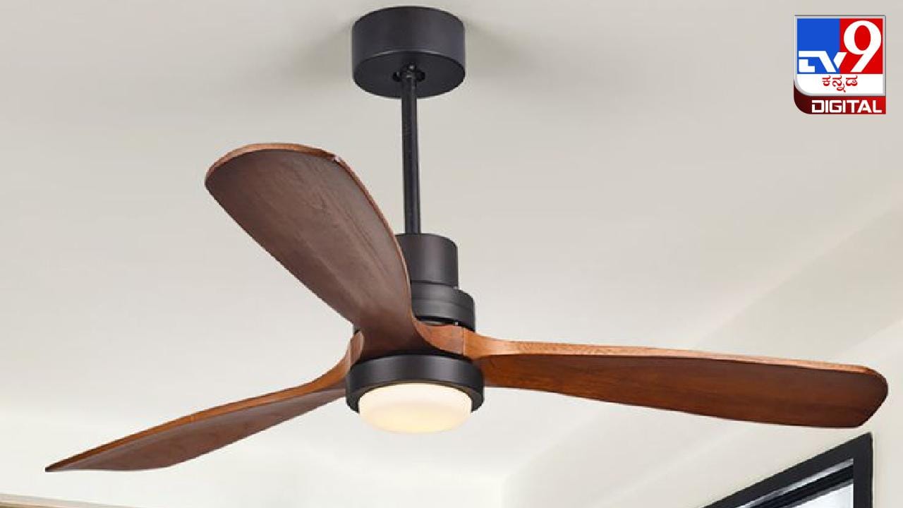 Viral Video : ಸೀಲಿಂಗ್ ಫ್ಯಾನ್ ಮೇಲೆ ಸುರುಳಿ ಸುತ್ತಿ ಕುಳಿತ ನಾಗರಹಾವು, ನೆಟ್ಟಿಗರಲ್ಲಿ ನಡುಕ ಹುಟ್ಟಿಸಿದ ದೃಶ್ಯ