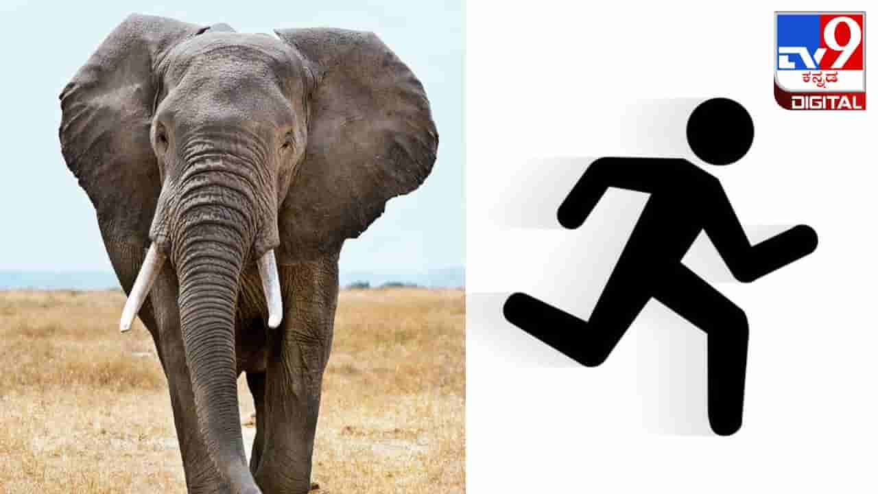 Viral Video: ಸೆಲ್ಫಿ ಕ್ಲಿಕ್ಕಿಸಿಕೊಳ್ಳಲು ಬಂದವರನ್ನು ಅಟ್ಟಾಡಿಸಿಕೊಂಡು ಹೋದ ಗಜರಾಜ