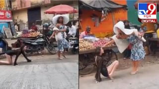 Viral Video: ಈ ಸುಂದರ ದೃಶ್ಯ ನೋಡಿದ ಮರುಕ್ಷಣವೇ ನಾನು ಕಳೆದು ಹೋದೆ, ಹೇಗಿದೆ ನೋಡಿ ಮಯೂರಿ ನೃತ್ಯ