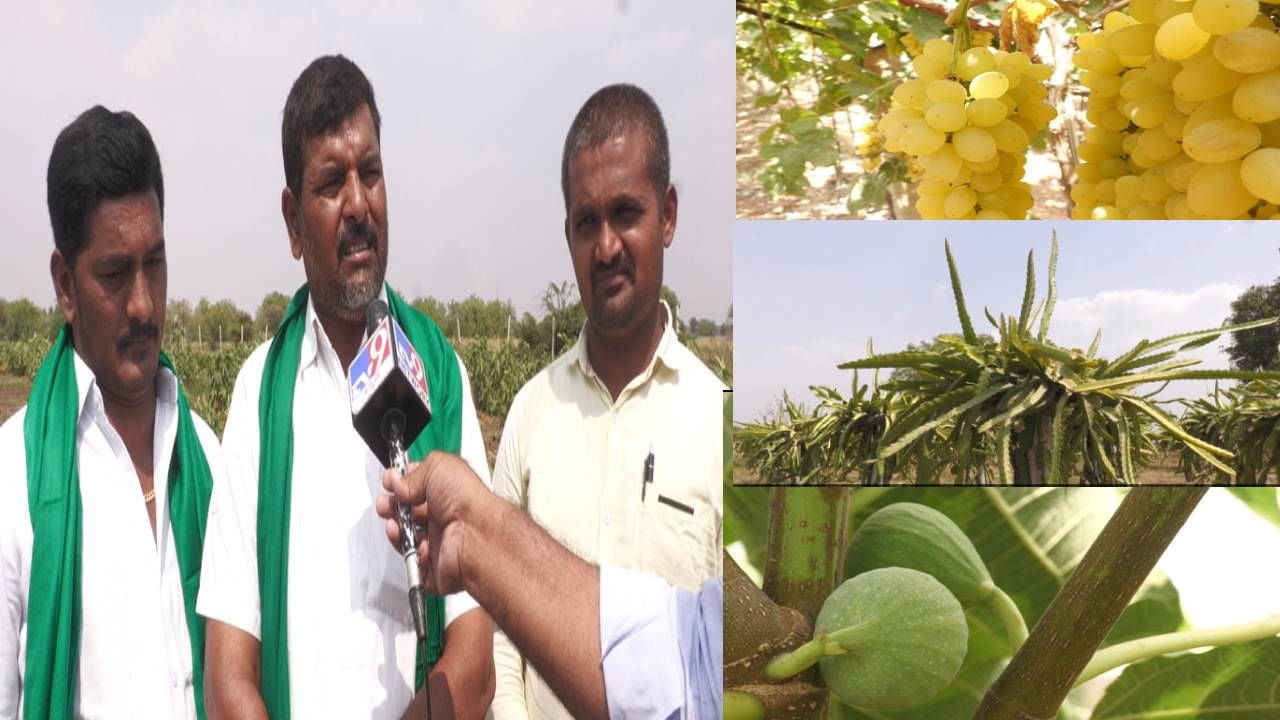 ಬರದ ನಾಡಲ್ಲೂ ಬಂಗಾರದಂತ ಬೆಳೆ ಬೆಳೆದ ರೈತ; ಸಮಗ್ರ ಕೃಷಿ ಮೂಲಕ ಲಕ್ಷಾಂತರ ರೂ. ಲಾಭ ಬರದ ನಾಡಲ್ಲೂ ಬಂಗಾರದಂತ ಬೆಳೆ ಬೆಳೆದ ರೈತ; ಸಮಗ್ರ ಕೃಷಿ ಮೂಲಕ ಲಕ್ಷಾಂತರ ರೂ. ಲಾಭ
