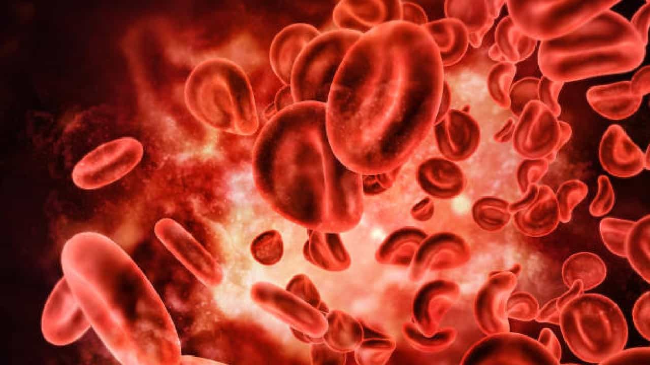 Blood Cancer: ನಿಮಗೆ ರಕ್ತದ ಕ್ಯಾನ್ಸರ್ ಉಂಟಾಗಿರುವ 7 ಲಕ್ಷಣಗಳಿವು Blood Cancer: ನಿಮಗೆ ರಕ್ತದ ಕ್ಯಾನ್ಸರ್ ಉಂಟಾಗಿರುವ 7 ಲಕ್ಷಣಗಳಿವು