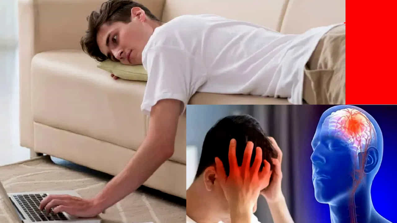 Risks of Brain Stroke: ಈ ಕೆಟ್ಟ ಅಭ್ಯಾಸಗಳೆಲ್ಲ ಬ್ರೈನ್ ಸ್ಟ್ರೋಕ್ ಅಪಾಯವನ್ನು ಹೆಚ್ಚಿಸುತ್ತದೆ, ವಿವರವಾಗಿ ತಿಳಿಯಿರಿ Risks of Brain Stroke: ಈ ಕೆಟ್ಟ ಅಭ್ಯಾಸಗಳೆಲ್ಲ ಬ್ರೈನ್ ಸ್ಟ್ರೋಕ್ ಅಪಾಯವನ್ನು ಹೆಚ್ಚಿಸುತ್ತದೆ, ವಿವರವಾಗಿ ತಿಳಿಯಿರಿ