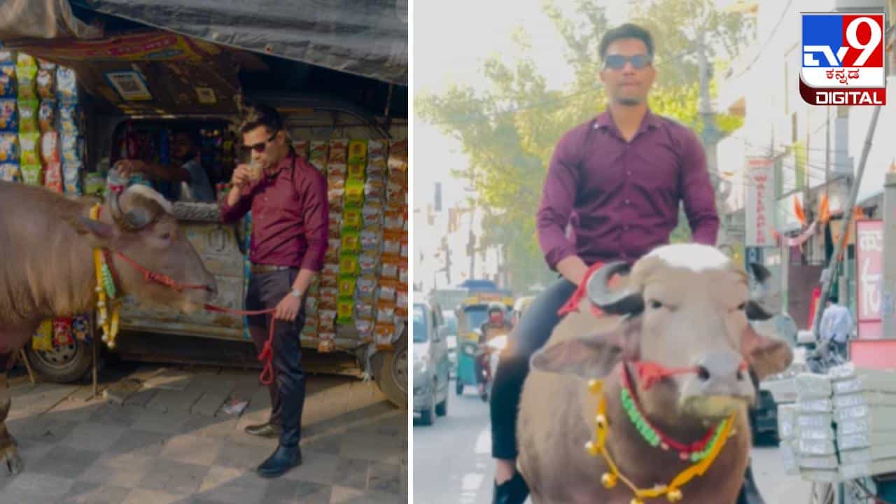 Viral Video: ಹೀರೋನಂತೆ  ಎಮ್ಮೆಯ ಮೇಲೇರಿ ಸವಾರಿ ಹೊರಟ ಸುರ ಸುಂದರ; ವಿಡಿಯೋ ವೈರಲ್