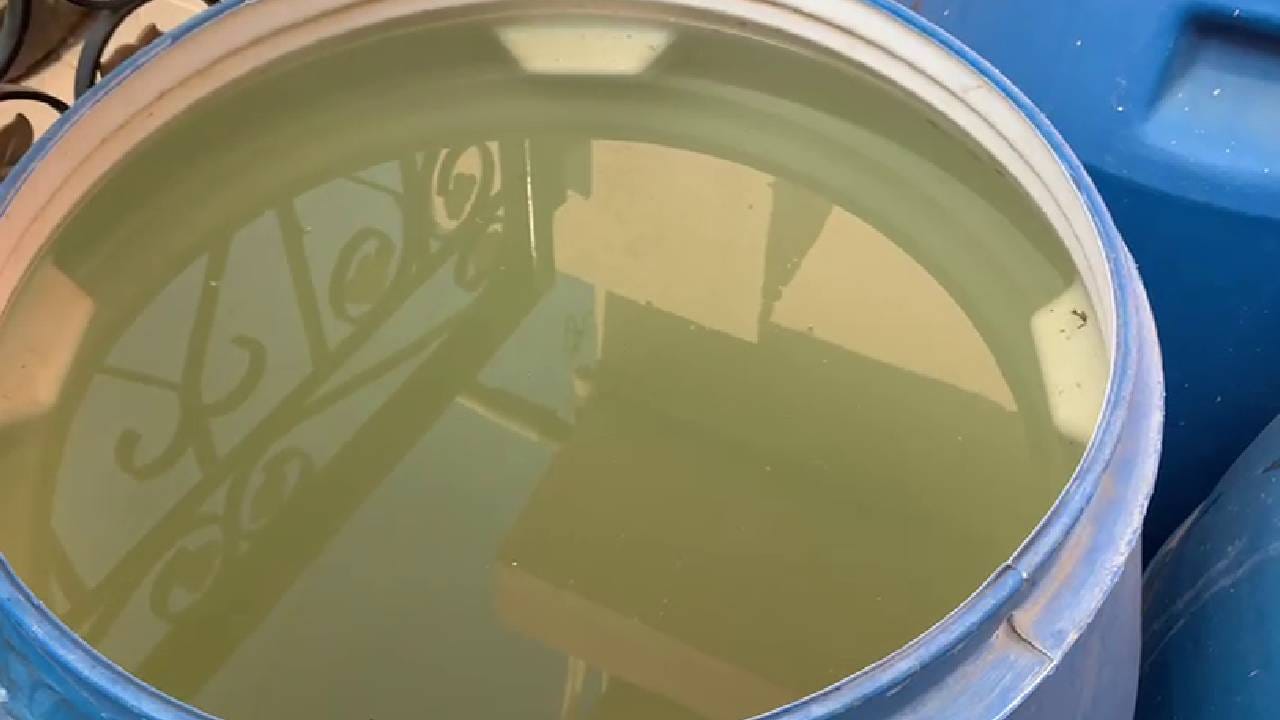 BWSSB ಕಲುಷಿತ ನೀರು ಸಪ್ಲೈ ಮಾಡ್ತಿದೆ, ನಮಗೆ ಆ ನೀರು ಬೇಡ ಶುದ್ಧ ನೀರು ಕೊಡಿ; BBMP ವಿರುದ್ಧ ಆಕ್ರೋಶ BWSSB ಕಲುಷಿತ ನೀರು ಸಪ್ಲೈ ಮಾಡ್ತಿದೆ, ನಮಗೆ ಆ ನೀರು ಬೇಡ ಶುದ್ಧ ನೀರು ಕೊಡಿ; BBMP ವಿರುದ್ಧ ಆಕ್ರೋಶ