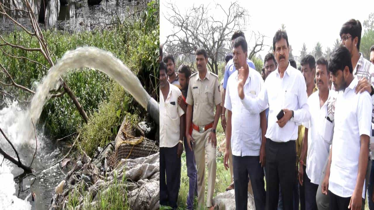 ಬೆಂಗಳೂರು: ಕೆರೆಗೆ ಹರಿದು ಬರ್ತಿದೆ ವಿಷಕಾರಿ ಯುಜಿಡಿ ನೀರು; ಗ್ರಾಮ ಪಂಚಾಯ್ತಿ ನಿರ್ಲಕ್ಷ್ಯದಿಂದ ವಿಷವಾಗ್ತಿದೆ ಗ್ರಾಮದ ಕೆರೆ ಬೆಂಗಳೂರು: ಕೆರೆಗೆ ಹರಿದು ಬರ್ತಿದೆ ವಿಷಕಾರಿ ಯುಜಿಡಿ ನೀರು; ಗ್ರಾಮ ಪಂಚಾಯ್ತಿ ನಿರ್ಲಕ್ಷ್ಯದಿಂದ ವಿಷವಾಗ್ತಿದೆ ಗ್ರಾಮದ ಕೆರೆ