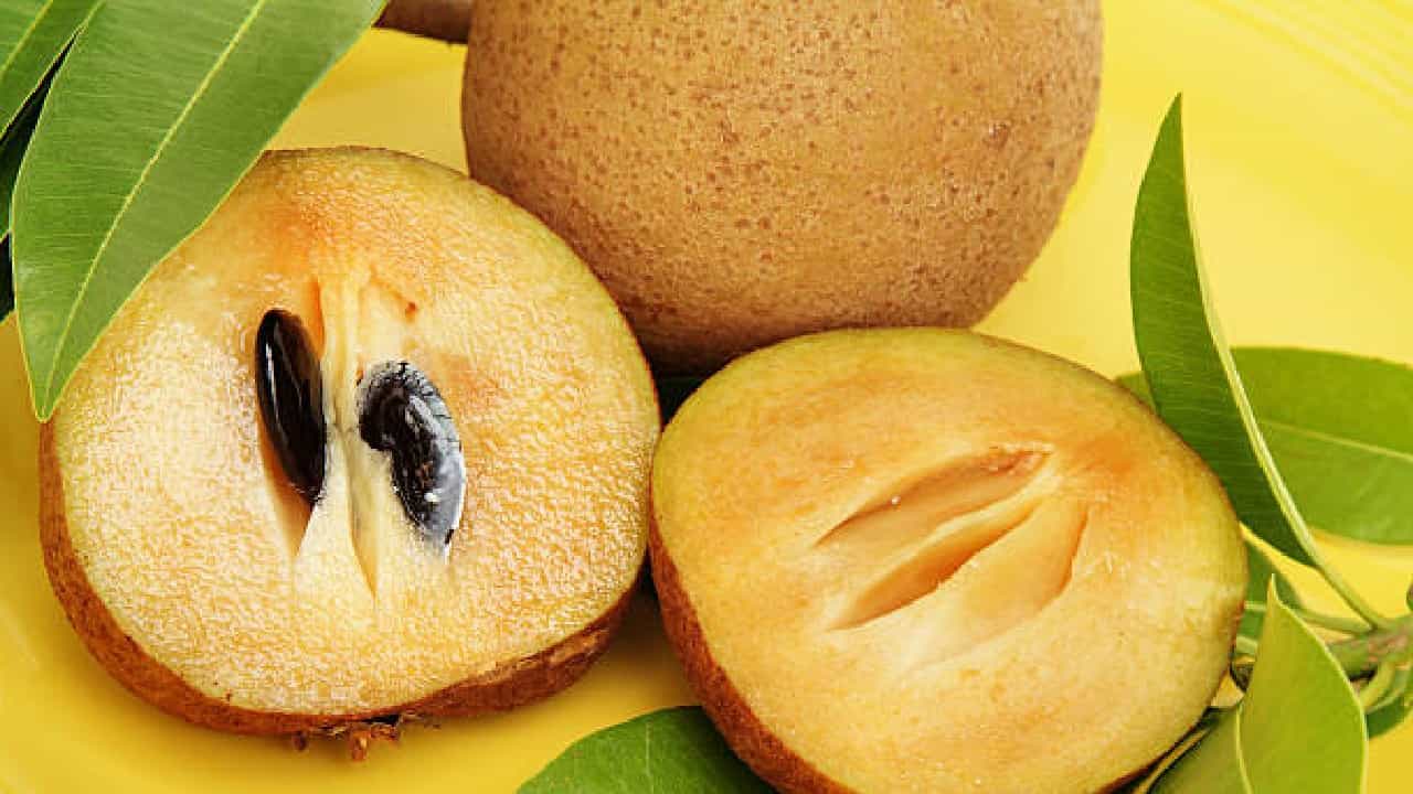 Chikoo Benefits: ತೂಕ ಇಳಿಸಲು ಸಪೋಟ ಹೇಗೆ ಸಹಕಾರಿ?