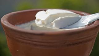 World Tuberculosis Day 2024: ಟಿಬಿ ಬಗ್ಗೆ ಭಯಬೇಡ, ಈ ಚಿಕಿತ್ಸೆಯಿಂದ ಕ್ಷಯ ಶಮನ