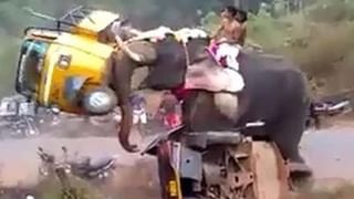 Viral Video: ಹೇಗಿದೆ ನೋಡಿ 100 ಅಡಿ ಉದ್ದದ ಅದ್ಧೂರಿ ಮದುವೆ ಚಪ್ಪರ…