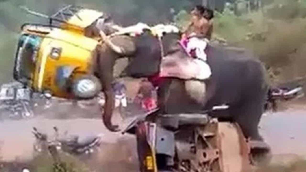 Viral Video: ರಸ್ತೆ ಬದಿ ನಿಲ್ಲಿಸಿದ್ದ ವಾಹನಗಳನ್ನು ಆಟಿಕೆಯಂತೆ ಎತ್ತಿ ಬಿಸಾಡಿದ ಆನೆ; ಬೆಚ್ಚಿ ಬಿದ್ದ ಜನ Viral Video: ರಸ್ತೆ ಬದಿ ನಿಲ್ಲಿಸಿದ್ದ ವಾಹನಗಳನ್ನು ಆಟಿಕೆಯಂತೆ ಎತ್ತಿ ಬಿಸಾಡಿದ ಆನೆ; ಬೆಚ್ಚಿ ಬಿದ್ದ ಜನ
