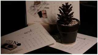 Health Tips : ಡಯಟ್ ಹೆಸರಿನಲ್ಲಿ ಅತಿಯಾಗಿ ಮುಳ್ಳು ಸೌತೆ ಸೇವಿಸುತ್ತೀರಾ, ಹಾಗಾದ್ರೆ ಈ ಬಗ್ಗೆಯೂ ತಿಳಿದಿರಲಿ!