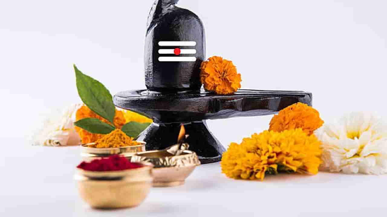 Maha Shivaratri 2024: ಮಹಾ ಶಿವರಾತ್ರಿ ಉಪವಾಸದ ನಿಯಮಗಳೇನು? ಏನು ಸೇವಿಸಬಹುದು, ಏನು ತಿನ್ನಬಾರದು?