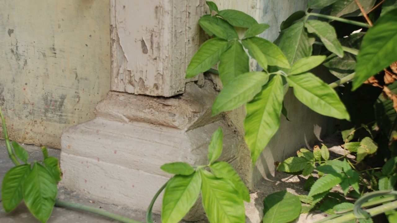 ಈ ಮಾಸ್ಟರ್ ಪ್ಲಾನ್ ಅಡಿಯಲ್ಲಿ, ಆಶ್ರಮದ ಅಸ್ತಿತ್ವದಲ್ಲಿರುವ ಐದು ಎಕರೆ ಪ್ರದೇಶವನ್ನು 55 ಎಕರೆಗಳಿಗೆ ವಿಸ್ತರಿಸಲಾಗುವುದು. ಅಸ್ತಿತ್ವದಲ್ಲಿರುವ 36 ಕಟ್ಟಡಗಳು ಪುನಃಸ್ಥಾಪನೆಗೆ ಒಳಗಾಗುತ್ತವೆ.