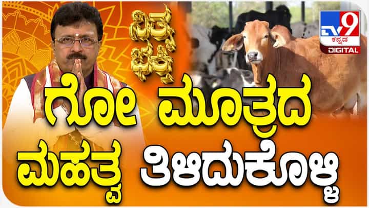 Daily Devotional: ಗೋ ಮೂತ್ರದ ಮಹತ್ವ ತಿಳಿದುಕೊಳ್ಳಿ Daily Devotional: ಗೋ ಮೂತ್ರದ ಮಹತ್ವ ತಿಳಿದುಕೊಳ್ಳಿ