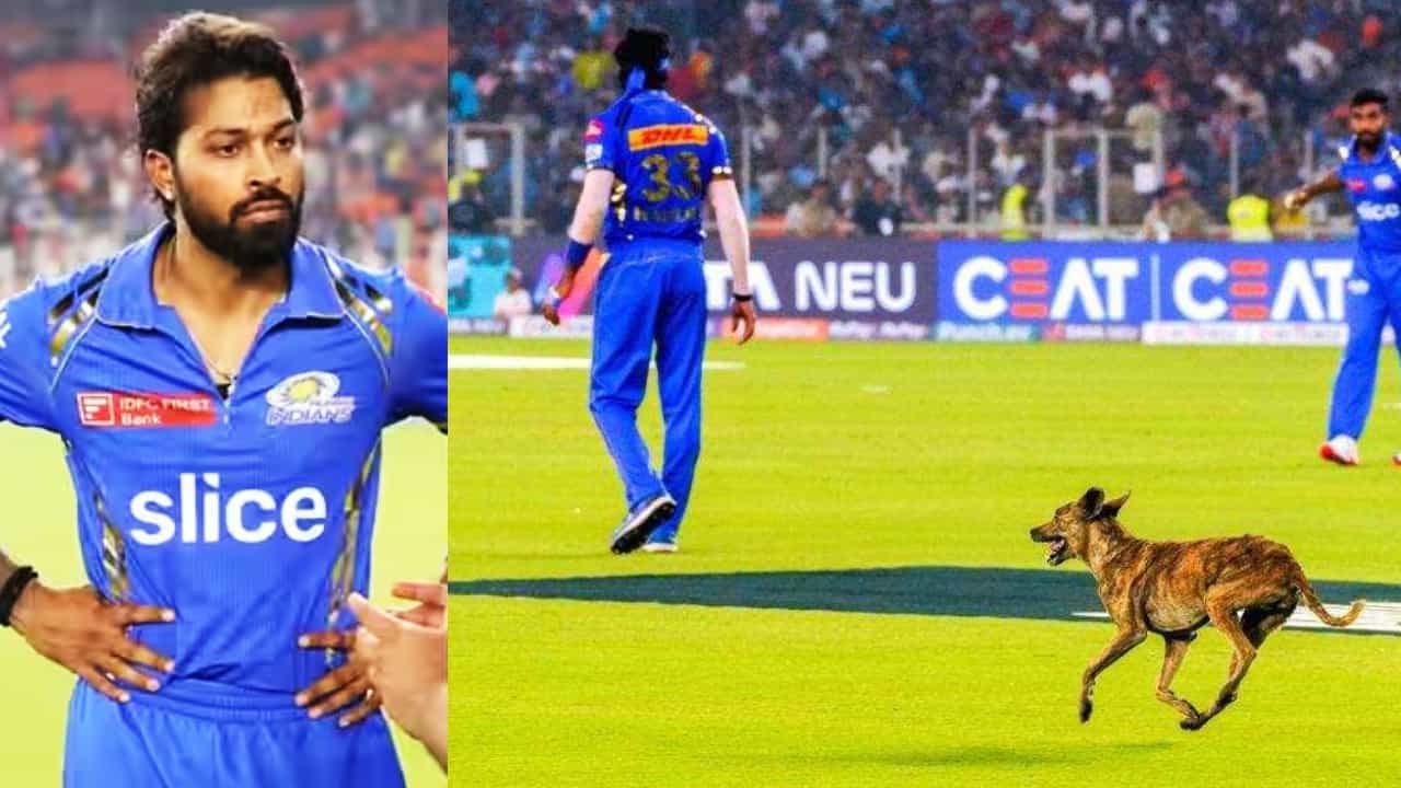 IPL 2024: ಮೈದಾನಕ್ಕೆ ನುಗ್ಗಿದ ನಾಯಿ: ಹಾರ್ದಿಕ್ ಹೆಸರು ಕೂಗಿದ ಅಭಿಮಾನಿಗಳು: ವಿಡಿಯೋ ವೈರಲ್ IPL 2024: ಮೈದಾನಕ್ಕೆ ನುಗ್ಗಿದ ನಾಯಿ: ಹಾರ್ದಿಕ್ ಹೆಸರು ಕೂಗಿದ ಅಭಿಮಾನಿಗಳು: ವಿಡಿಯೋ ವೈರಲ್