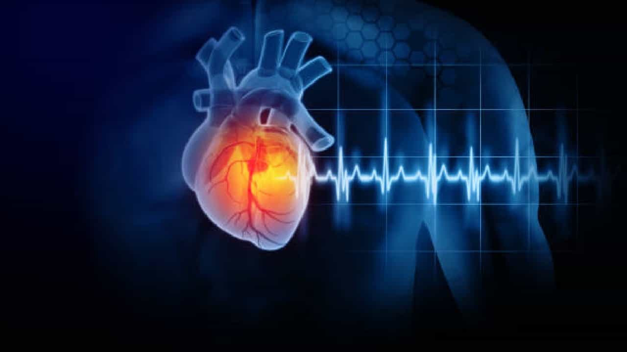 Heart Health: ಹೃದಯದ ರಕ್ತ ಸಂಚಲನ ಸುಧಾರಿಸಲು ಈ ಆಯುರ್ವೇದ ಪಾನೀಯ ಸೇವಿಸಿ Heart Health: ಹೃದಯದ ರಕ್ತ ಸಂಚಲನ ಸುಧಾರಿಸಲು ಈ ಆಯುರ್ವೇದ ಪಾನೀಯ ಸೇವಿಸಿ