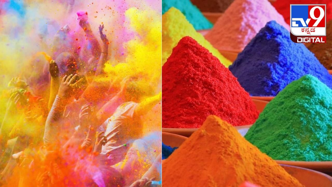 Holi 2024: ಈ ಹಳ್ಳಿಯಲ್ಲಿ ಹೋಳಿ ಆಚರಣೆ ಎಂದರೆ ಭಯ! ದಶಕಗಳಿಂದ ಬಣ್ಣಗಳಿಂದ ದೂರ