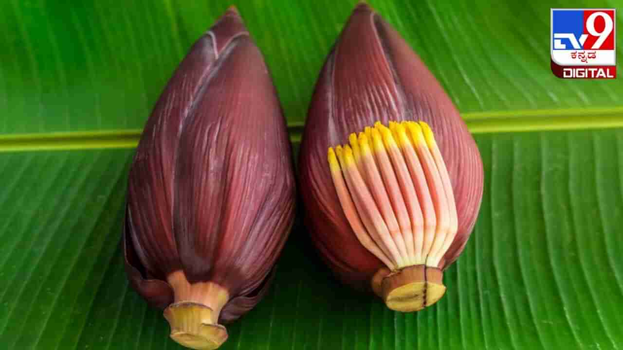 Banana Flower: ಬಾಳೆ ಹೂವಿನ ಪಲ್ಯ ತಿನ್ನುವುದರಿಂದ ಎಷ್ಟೆಲ್ಲಾ ಆರೋಗ್ಯ ಪ್ರಯೋಜನಗಳಿವೆ ಗೊತ್ತಾ?