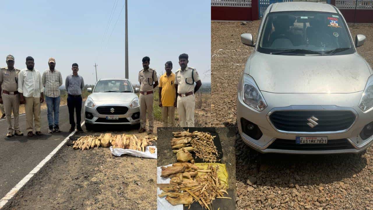ಬೆಳಗಾವಿ: ಶ್ರೀಗಂಧದ ತುಂಡು ಸಾಗಿಸ್ತಿದ್ದ ನಕಲಿ ಪತ್ರಕರ್ತನ ಬಂಧನ ಬೆಳಗಾವಿ: ಶ್ರೀಗಂಧದ ತುಂಡು ಸಾಗಿಸ್ತಿದ್ದ ನಕಲಿ ಪತ್ರಕರ್ತನ ಬಂಧನ