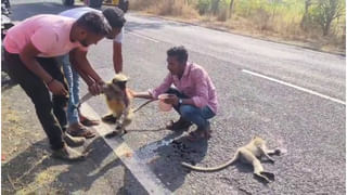 ನೀರಿನ ಸಮಸ್ಯೆ ಬಗೆಹರಿಸಿದರೆ ಕರ್ನಾಟಕಕ್ಕೆ ಸೇರುತ್ತೇವೆ: ಸಿದ್ದರಾಮಯ್ಯಗೆ ಮನವಿ ಮಾಡಿದ ಮಹಾರಾಷ್ಟ್ರದ ರೈತರು