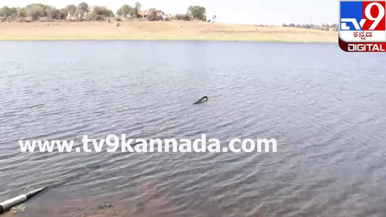 ಕುಡಿಯುವ ನೀರಿನ ಸಮಸ್ಯೆ ನಡುವೆ KRS ಜಲಾಶಯಕ್ಕೆ ಅಕ್ರಮ ಮೋಟಾರ್ ಅಳವಡಿಕೆ ಕುಡಿಯುವ ನೀರಿನ ಸಮಸ್ಯೆ ನಡುವೆ KRS ಜಲಾಶಯಕ್ಕೆ ಅಕ್ರಮ ಮೋಟಾರ್ ಅಳವಡಿಕೆ