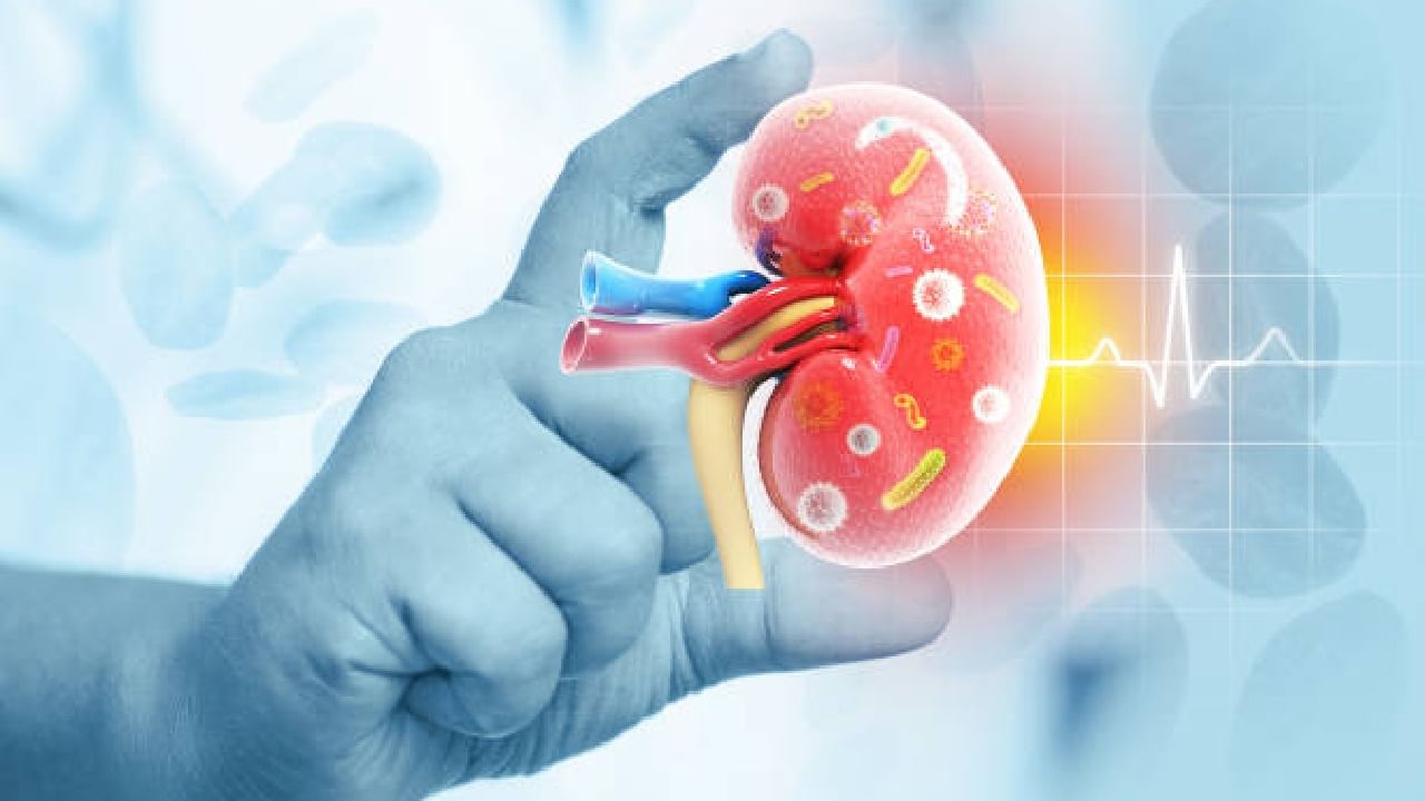 World Kidney Day 2024: ವಿಶ್ವ ಕಿಡ್ನಿ ದಿನ; ಕಿಡ್ನಿ ಸಮಸ್ಯೆಯ ಲಕ್ಷಣಗಳು, ಚಿಕಿತ್ಸೆಯ ವಿಧಾನವೇನು?