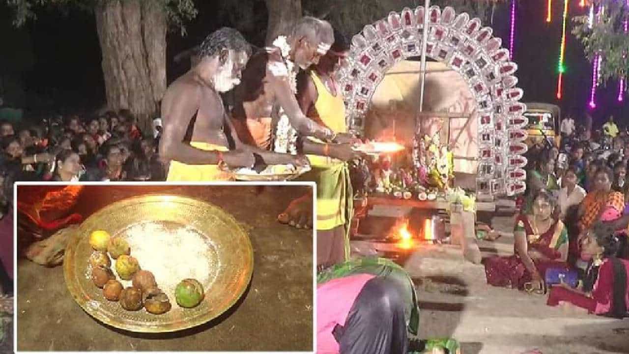 Viral: ಈ ದೇವಾಲಯದಲ್ಲಿ 1 ನಿಂಬೆ ಹಣ್ಣನ್ನು ಹರಾಜಿನ ಮೂಲಕ ಲಕ್ಷ ಲಕ್ಷ ಕೊಟ್ಟು ಖರೀದಿಸುತ್ತಾರೆ; ಯಾಕಿಷ್ಟು ದುಬಾರಿ? Viral: ಈ ದೇವಾಲಯದಲ್ಲಿ 1 ನಿಂಬೆ ಹಣ್ಣನ್ನು ಹರಾಜಿನ ಮೂಲಕ ಲಕ್ಷ ಲಕ್ಷ ಕೊಟ್ಟು ಖರೀದಿಸುತ್ತಾರೆ; ಯಾಕಿಷ್ಟು ದುಬಾರಿ?