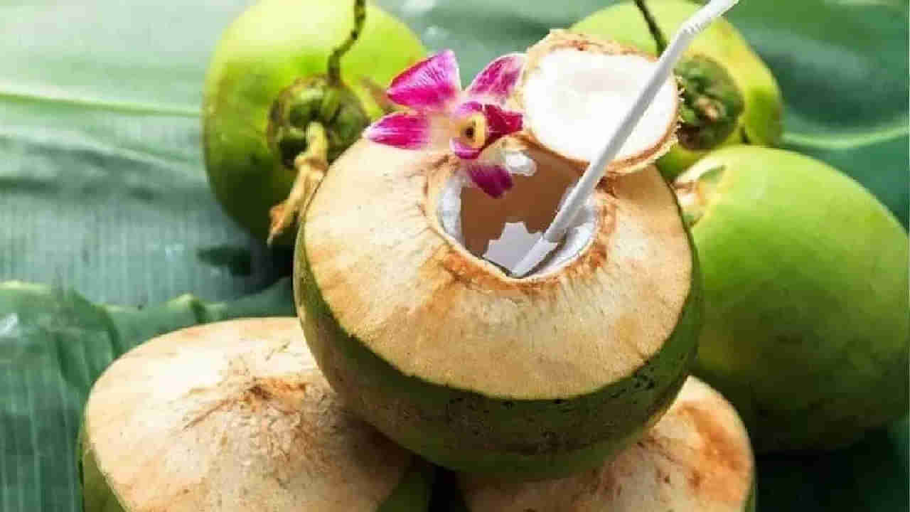 ತೆಂಗಿನ ಎಳೆ ನೀರಿನ ಪ್ರಯೋಜನಗಳು: ಎಳೆ ನೀರಿನ ಬಗ್ಗೆ ನಿಮಗೆ ತಿಳಿಯದ ಶಾಕಿಂಗ್ ವಿಷಯಗಳು