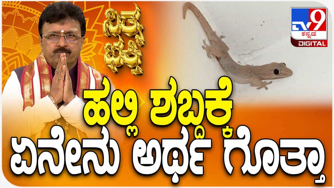 Daily Devotional: ಮನೆಯಲ್ಲಿ ಹಲ್ಲಿ ಲೊಚಗುಟ್ಟಿದರೆ ಏನು ಅರ್ಥ? ಈ ವಿಡಿಯೋ ನೋಡಿ Daily Devotional: ಮನೆಯಲ್ಲಿ ಹಲ್ಲಿ ಲೊಚಗುಟ್ಟಿದರೆ ಏನು ಅರ್ಥ? ಈ ವಿಡಿಯೋ ನೋಡಿ