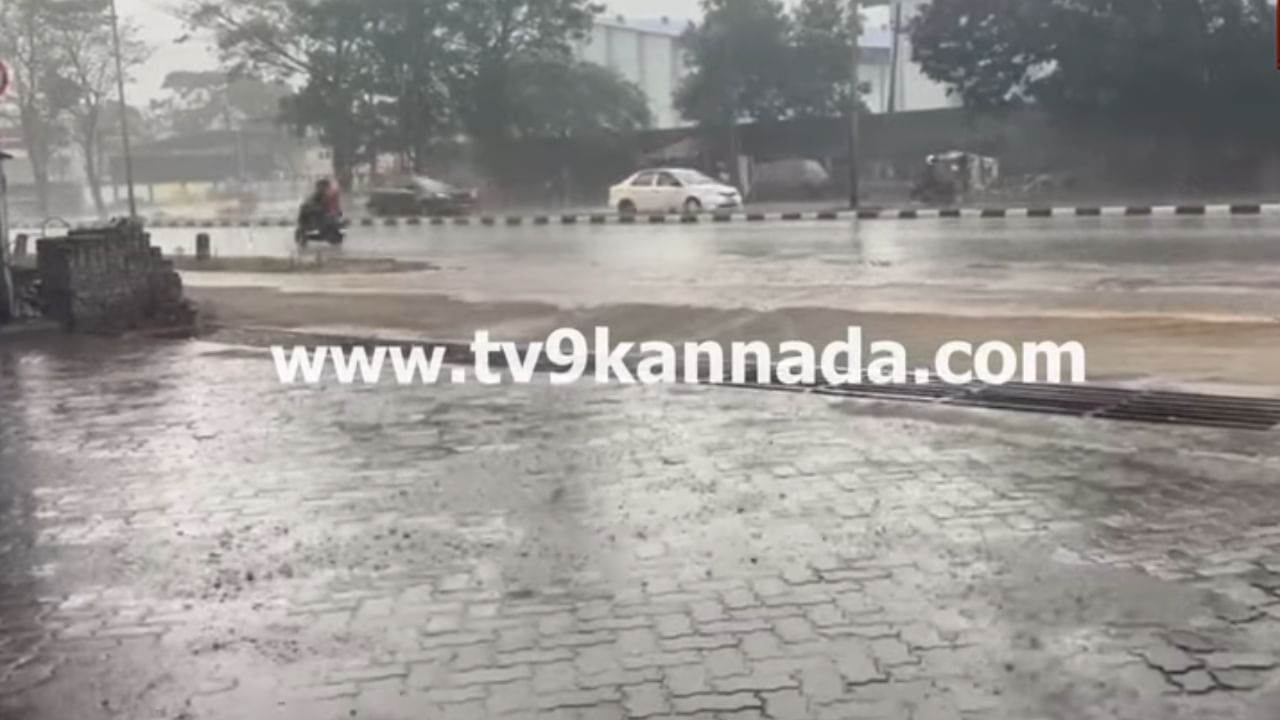 Mangaluru Rains: ಮಂಗಳೂರು ಸೇರಿ ದಕ್ಷಿಣ ಕನ್ನಡದ ಹಲವೆಡೆ ತಂಪೆರೆದ ಮಳೆ