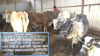 ಕಬ್ಬು, ಉದ್ದು, ಸೋಯಾ ಕೃಷಿಗೆ ಗುಡ್​ ಬೈ;ಈರುಳ್ಳಿ ಬೀಜ ಉತ್ಪಾದಿಸಿ ಲಕ್ಷಾಂತರ ರೂಪಾಯಿ ಆದಾಯ ಗಳಿಸುತ್ತಿರೋ ರೈತ