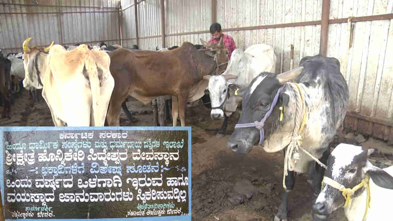 ಮುಜರಾಯಿ ದೇವಸ್ಥಾನದ ಗೋಶಾಲೆಗೆ ಕೋಟ್ಯಂತರ ರೂ ಕಾಣಿಕೆ ಬರುತ್ತದೆ, ಆದರೆ ಗೋವುಗಳು ಬಡಕಲು ಬಡಕಲು! ಯಾಕೋ? ಹಣ ಎಲ್ಲಿ ಹೋಗುತ್ತಿದೆಯೋ?