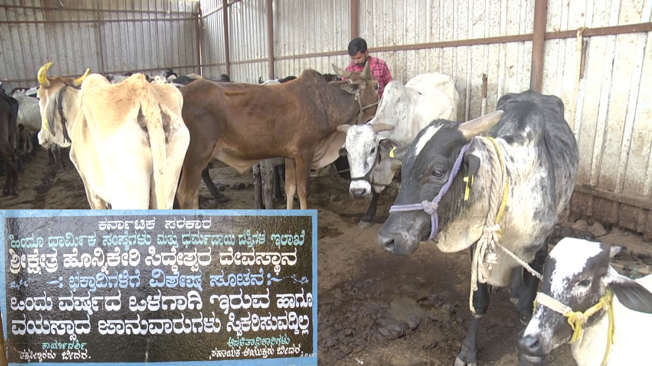 ಮುಜರಾಯಿ ದೇವಸ್ಥಾನದ ಗೋಶಾಲೆಗೆ ಕೋಟ್ಯಂತರ ರೂ ಕಾಣಿಕೆ ಬರುತ್ತದೆ, ಆದರೆ ಗೋವುಗಳು ಬಡಕಲು ಬಡಕಲು! ಯಾಕೋ? ಹಣ ಎಲ್ಲಿ ಹೋಗುತ್ತಿದೆಯೋ? ಮುಜರಾಯಿ ದೇವಸ್ಥಾನದ ಗೋಶಾಲೆಗೆ ಕೋಟ್ಯಂತರ ರೂ ಕಾಣಿಕೆ ಬರುತ್ತದೆ, ಆದರೆ ಗೋವುಗಳು ಬಡಕಲು ಬಡಕಲು! ಯಾಕೋ? ಹಣ ಎಲ್ಲಿ ಹೋಗುತ್ತಿದೆಯೋ?