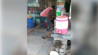 JP Nadda: ರಾಜ್ಯಸಭಾ ಸದಸ್ಯತ್ವಕ್ಕೆ ಬಿಜೆಪಿ ರಾಷ್ಟ್ರೀಯ ಅಧ್ಯಕ್ಷ ಜೆಪಿ ನಡ್ಡಾ ರಾಜೀನಾಮೆ!