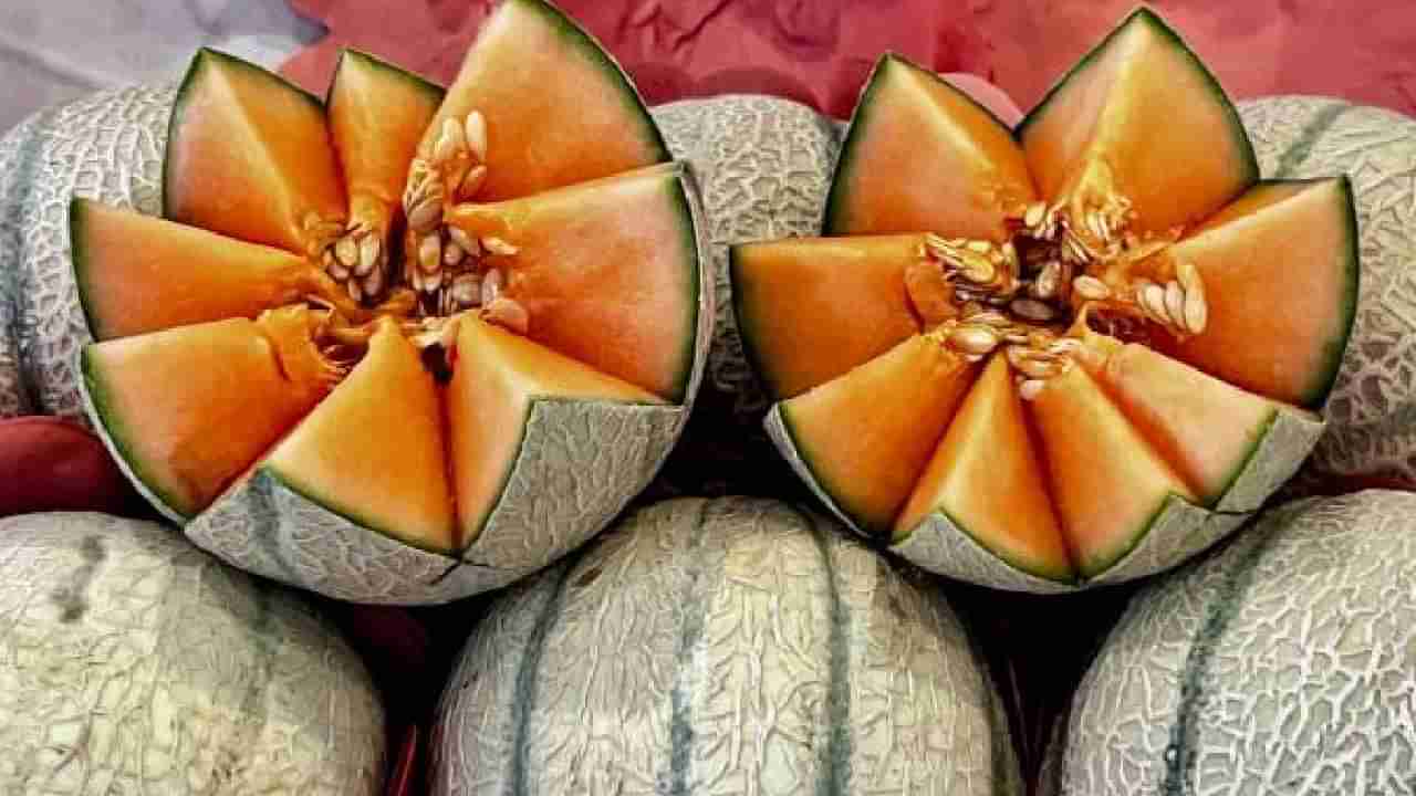 Muskmelon Seeds: ಕರ್ಬೂಜ ಹಣ್ಣು ಮಾತ್ರವಲ್ಲ, ಬೀಜಗಳಿಂದಲೂ ಇದೆ ಪ್ರಯೋಜನ