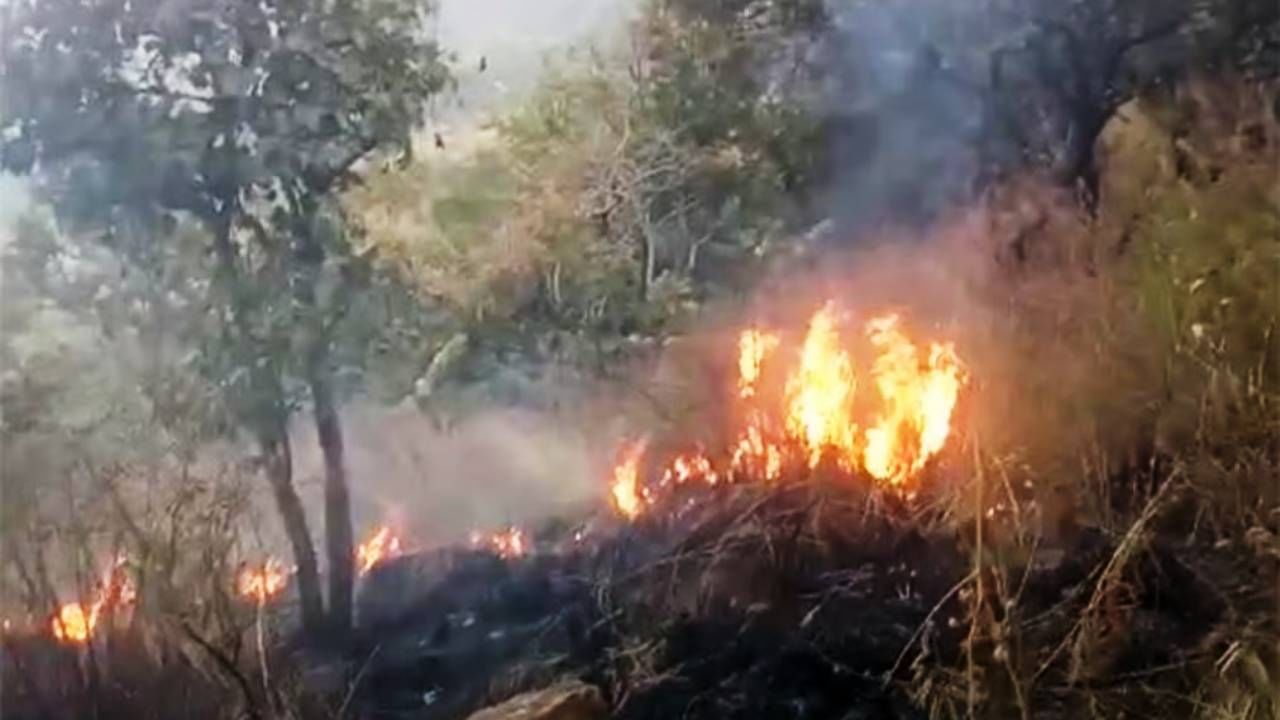 ಮೈಸೂರು: ಕಾಡ್ಗಿಚ್ಚಿನಿಂದ 50ಕ್ಕೂ ಹೆಚ್ಚು ಎಕರೆ ಅರಣ್ಯ ಪ್ರದೇಶ ಸುಟ್ಟು ಭಸ್ಮ ಮೈಸೂರು: ಕಾಡ್ಗಿಚ್ಚಿನಿಂದ 50ಕ್ಕೂ ಹೆಚ್ಚು ಎಕರೆ ಅರಣ್ಯ ಪ್ರದೇಶ ಸುಟ್ಟು ಭಸ್ಮ