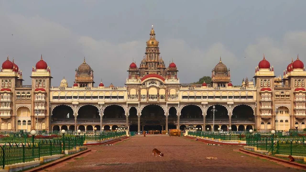 ಮೈಸೂರಿನಲ್ಲಿ ಪ್ರವಾಸಿಗರ ಸಂಖ್ಯೆಯಲ್ಲಿ ಭಾರೀ ಇಳಿಕೆ! ಕಾರಣ ಇಲ್ಲಿದೆ ಮೈಸೂರಿನಲ್ಲಿ ಪ್ರವಾಸಿಗರ ಸಂಖ್ಯೆಯಲ್ಲಿ ಭಾರೀ ಇಳಿಕೆ! ಕಾರಣ ಇಲ್ಲಿದೆ