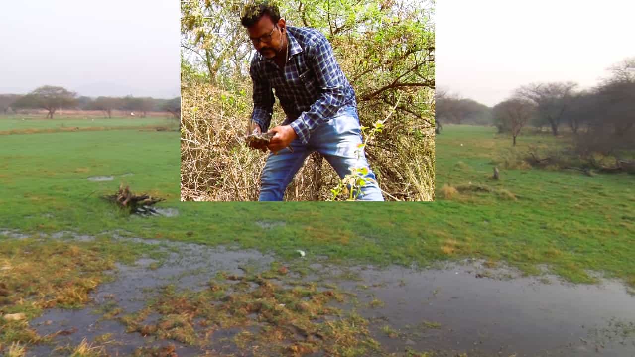 Forest Poachers: ಚಿಕ್ಕಬಳ್ಳಾಪುರದಲ್ಲಿ ನವಿಲುಗಳ ಮಾರಣಹೋಮ, ತಿಂಗಳಲ್ಲಿ 15ಕ್ಕೂ ಹೆಚ್ಚು ರಾಷ್ಟ್ರಪಕ್ಷಿಗಳ ಹತ್ಯೆ Forest Poachers: ಚಿಕ್ಕಬಳ್ಳಾಪುರದಲ್ಲಿ ನವಿಲುಗಳ ಮಾರಣಹೋಮ, ತಿಂಗಳಲ್ಲಿ 15ಕ್ಕೂ ಹೆಚ್ಚು ರಾಷ್ಟ್ರಪಕ್ಷಿಗಳ ಹತ್ಯೆ