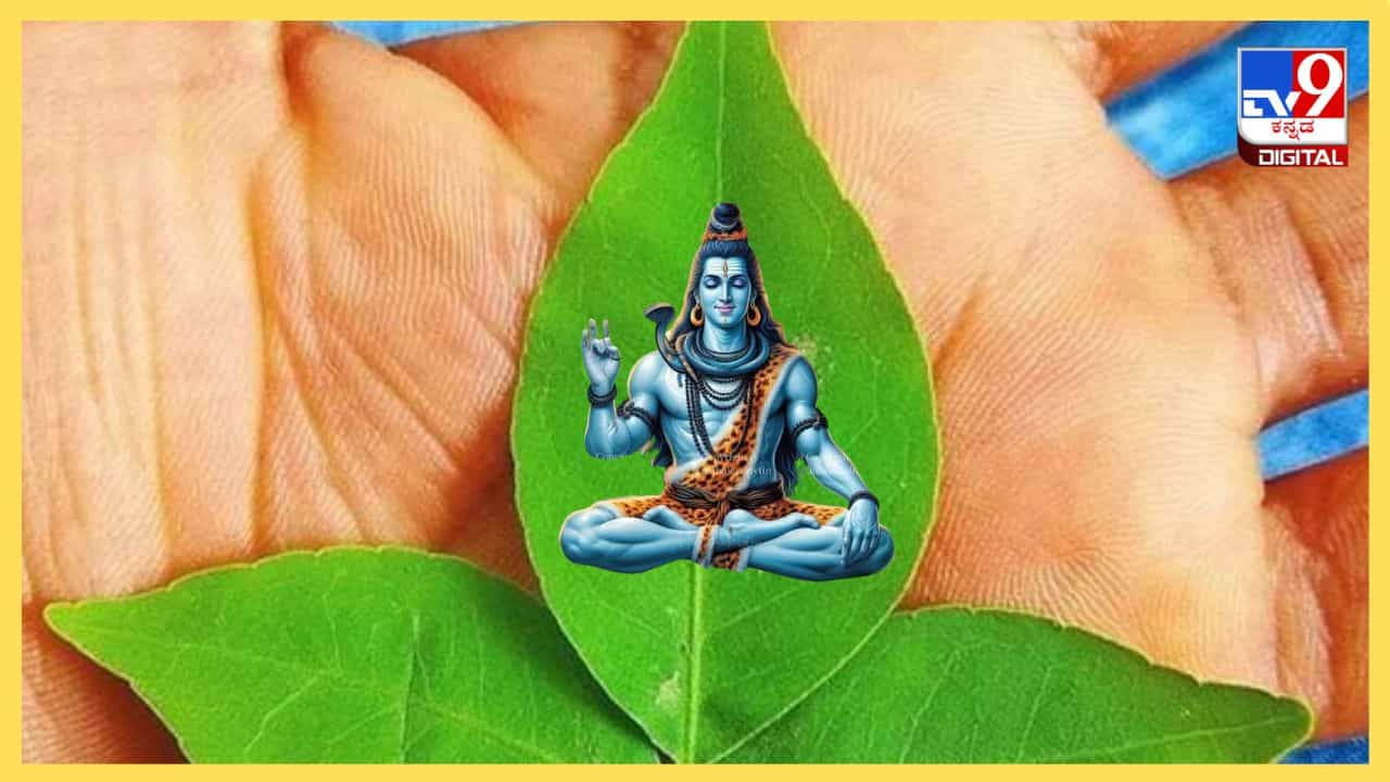 Bilva Patra: ಸಂತಾನ ಭಾಗ್ಯಕ್ಕಾಗಿ 48 ದಿನ ಬಿಲ್ವಪತ್ರೆಯ ಮರಕ್ಕೆ ಪೂಜೆ ಮಾಡಿ Bilva Patra: ಸಂತಾನ ಭಾಗ್ಯಕ್ಕಾಗಿ 48 ದಿನ ಬಿಲ್ವಪತ್ರೆಯ ಮರಕ್ಕೆ ಪೂಜೆ ಮಾಡಿ